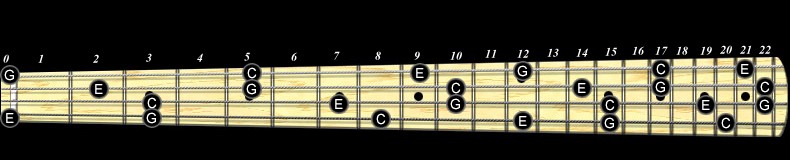 learn scales on bass fretboard